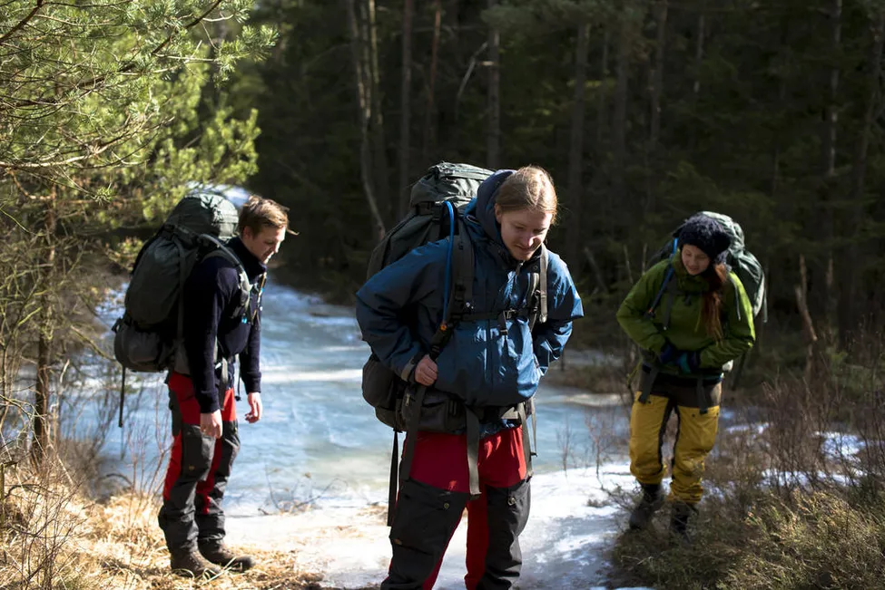 Klicka för att förstora