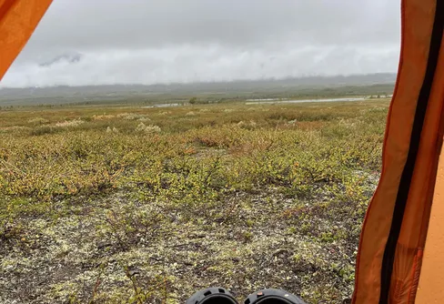 29 augusti – fjäll och obanat