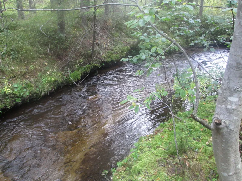 Klicka för att förstora