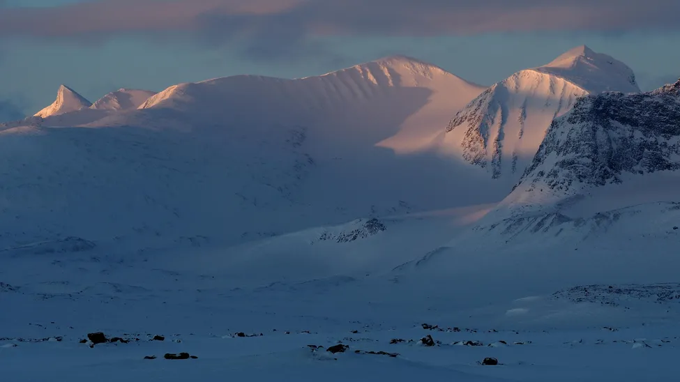 Klicka för att förstora
