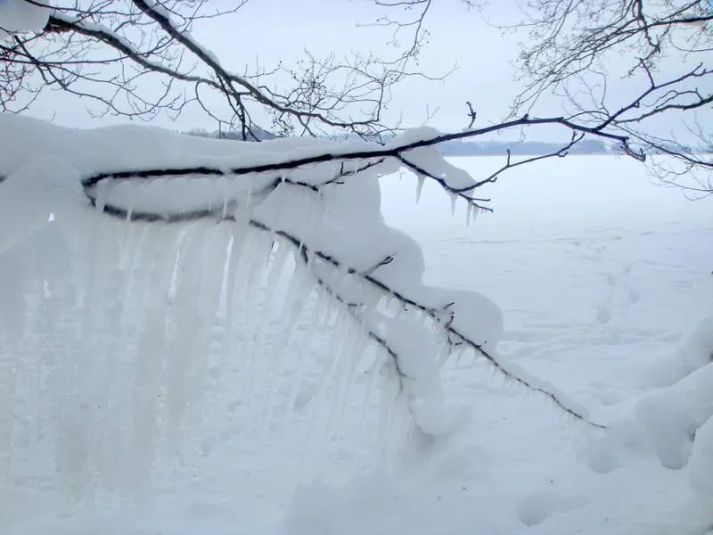 Klicka för att förstora