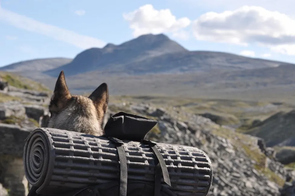 Klicka för att förstora