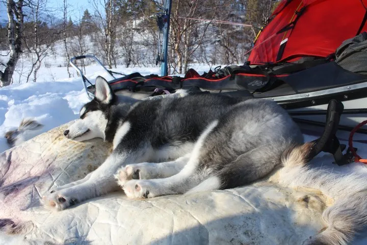 Klicka för att förstora