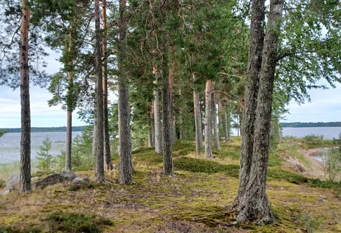 På långtur – färdglädje från Pielavesi till Lahtis