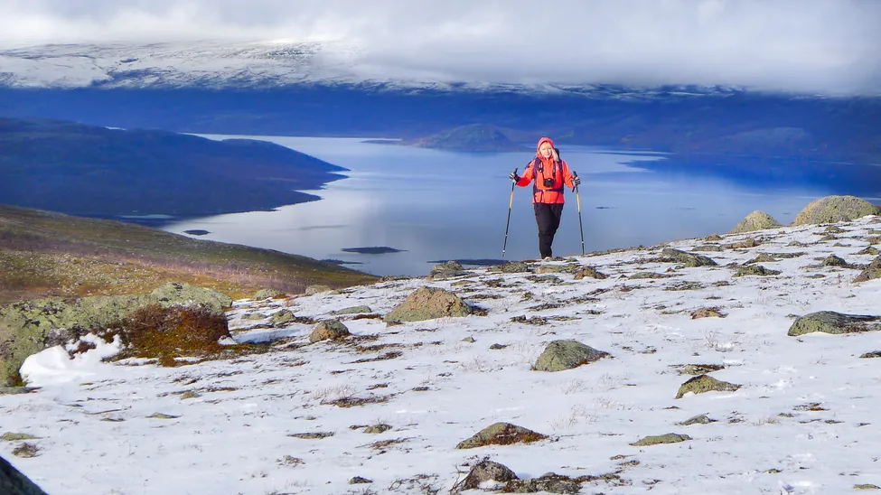 Klicka för att förstora