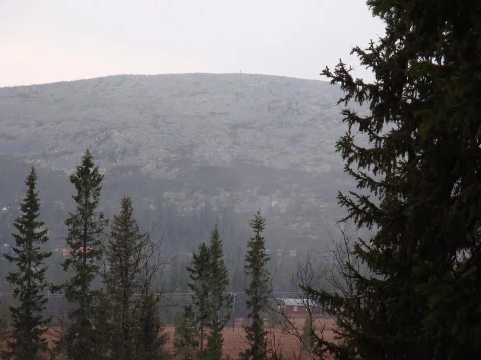 Klicka för att förstora