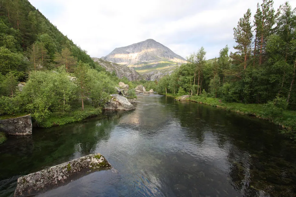 Klicka för att förstora