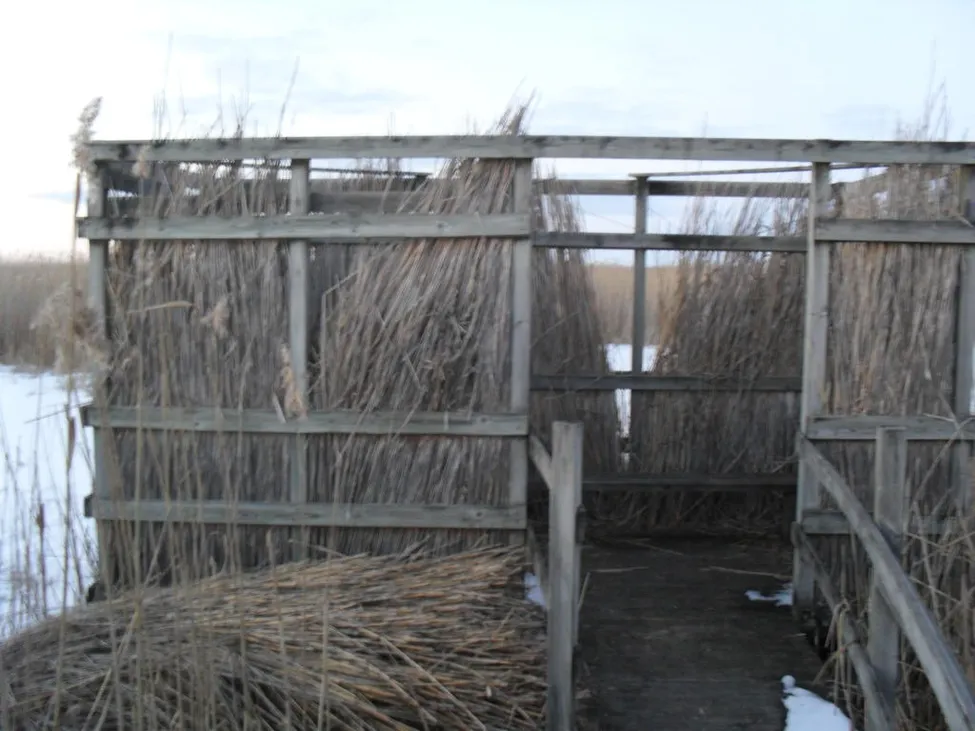 Klicka för att förstora