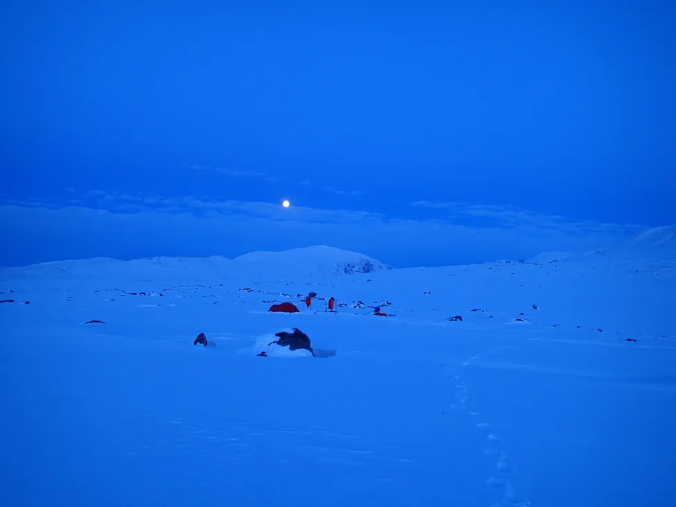 Klicka för att förstora