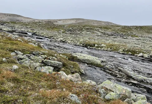 Bunnerfjällen och tillbaka: Dag 2
