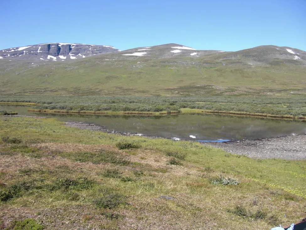 Klicka för att förstora