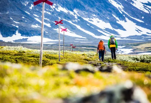 Upprop gav ljusning för fjällederna