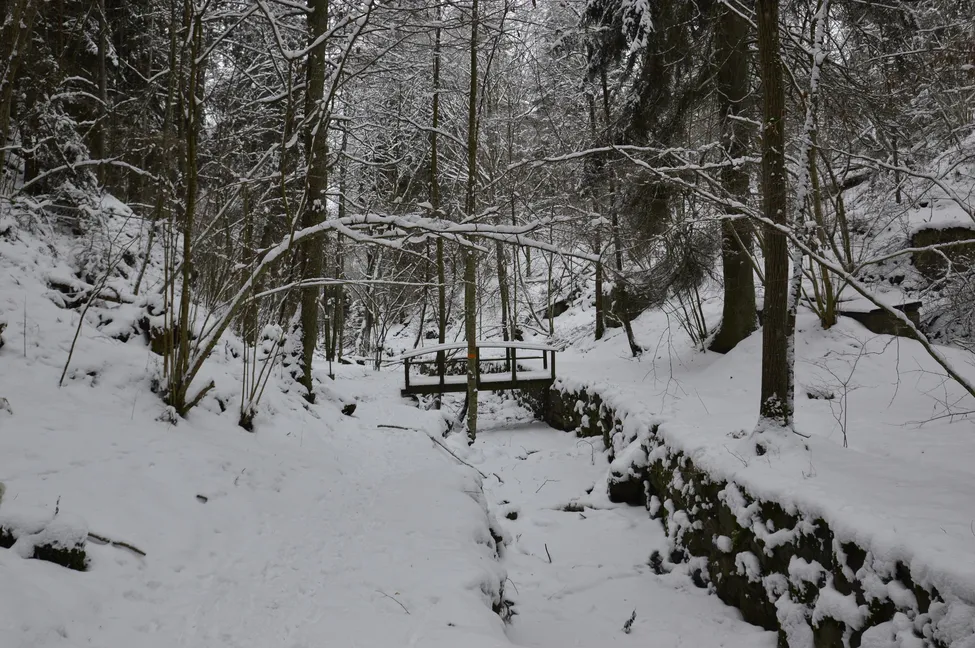 Klicka för att förstora