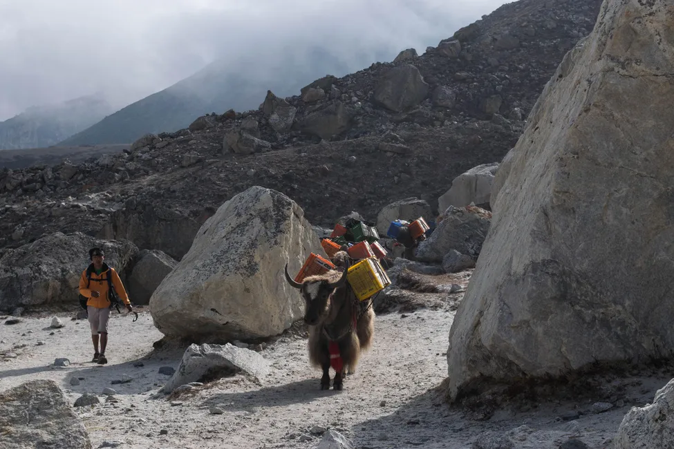 Klicka för att förstora