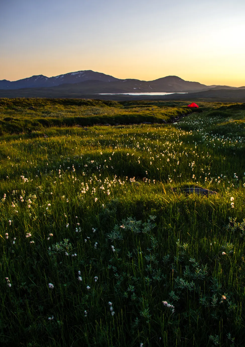Klicka för att förstora