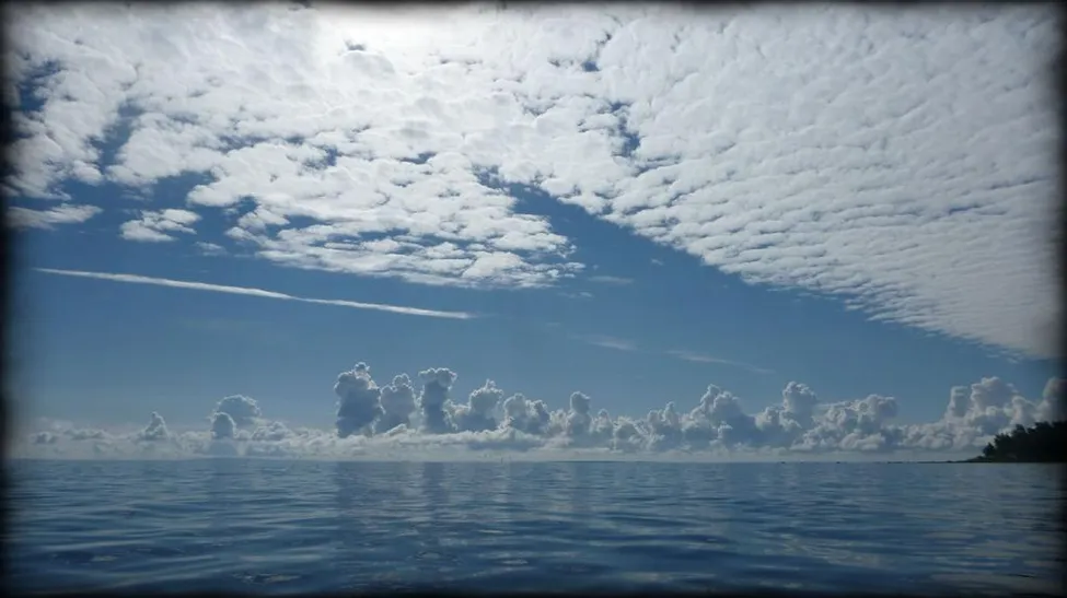 Klicka för att förstora