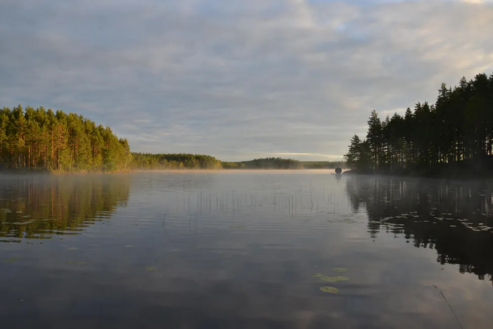 Klicka för att förstora