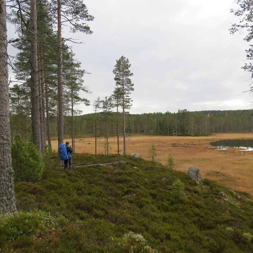 Klicka för att förstora