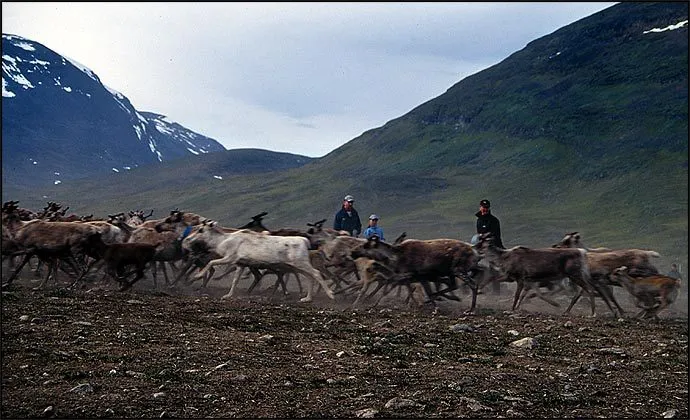 Klicka för att förstora