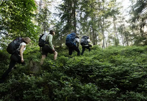Så ska fler våga sig ut och vandra – Naturkompaniets nya satsning