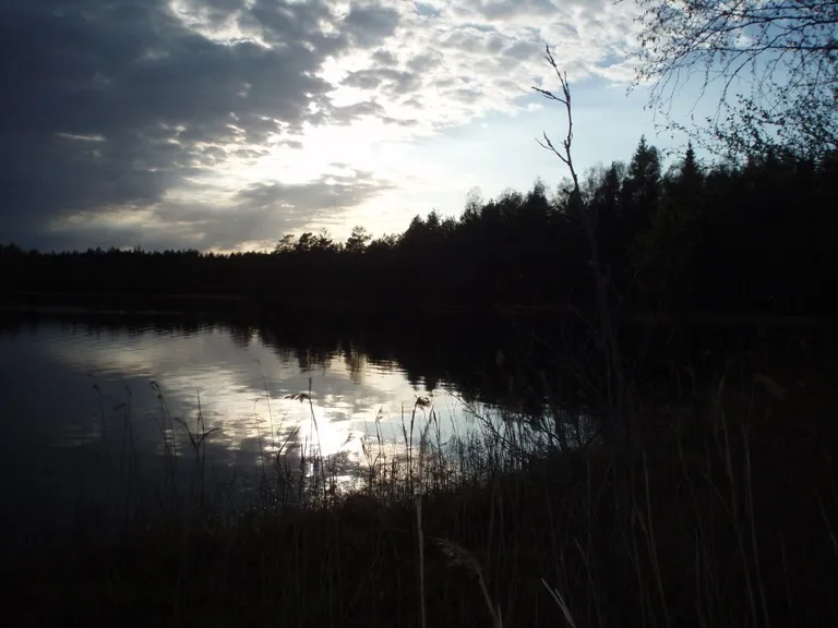 Klicka för att förstora