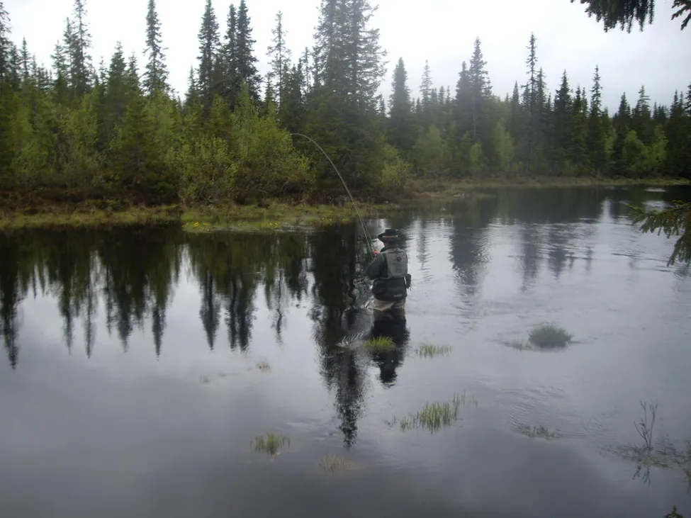 Klicka för att förstora