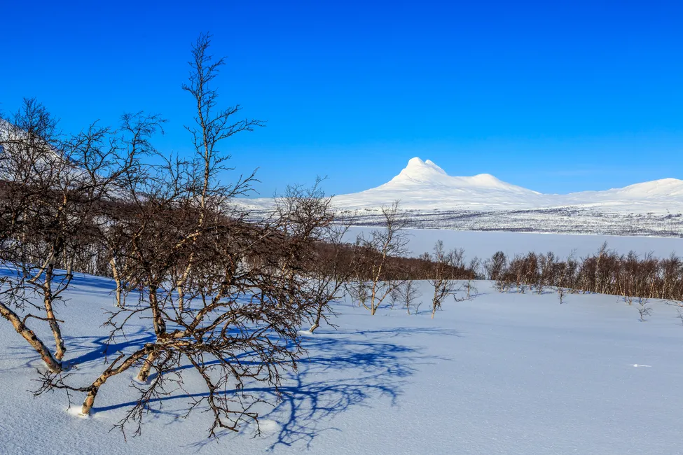 Klicka för att förstora
