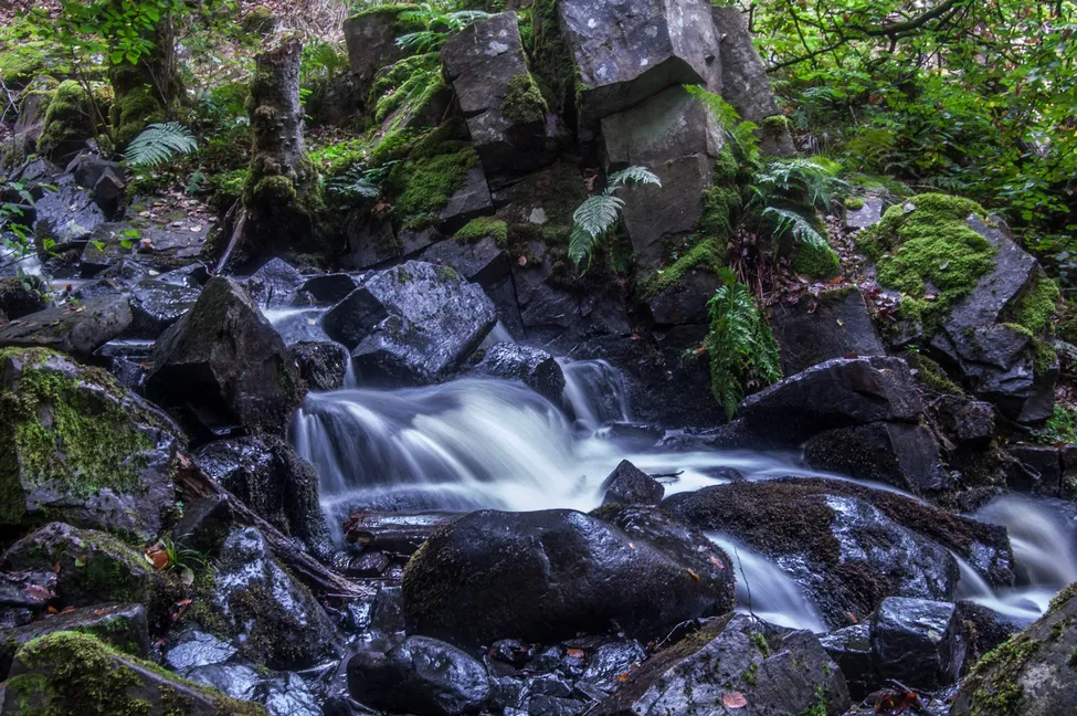 Klicka för att förstora
