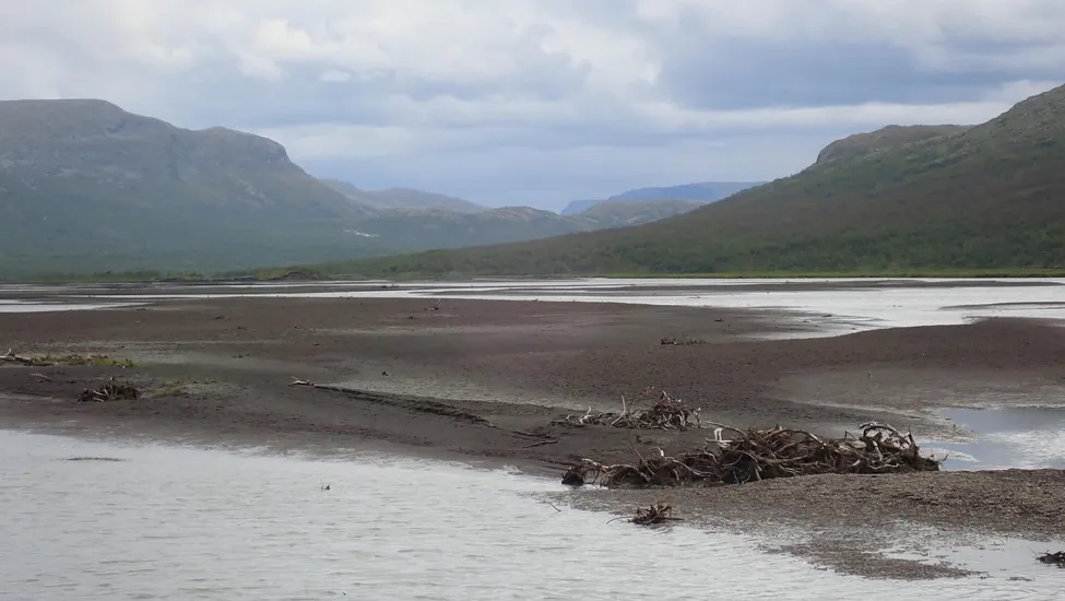 Klicka för att förstora