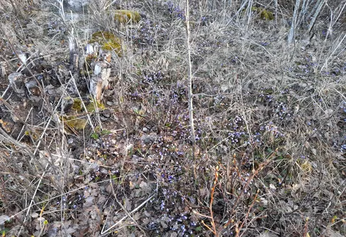 Byträsk, Geta, Åland