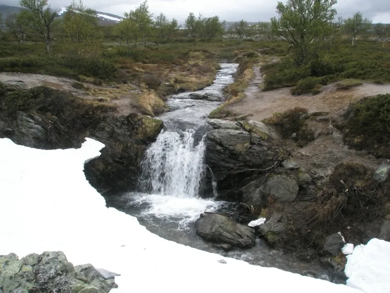 Klicka för att förstora