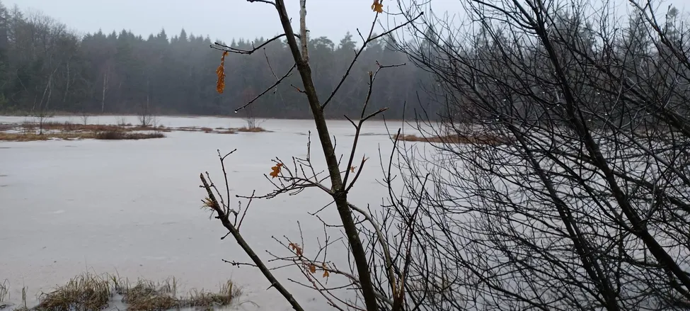 Klicka för att förstora
