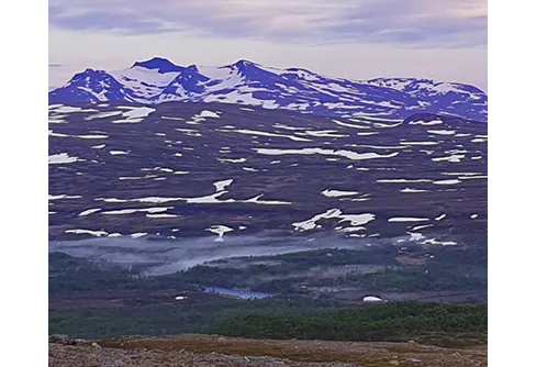 Bunnerfjällen juni 2019