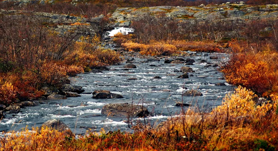 Klicka för att förstora