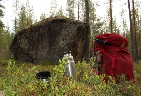 Svartviksleden - en vandring med björn i tankarna
