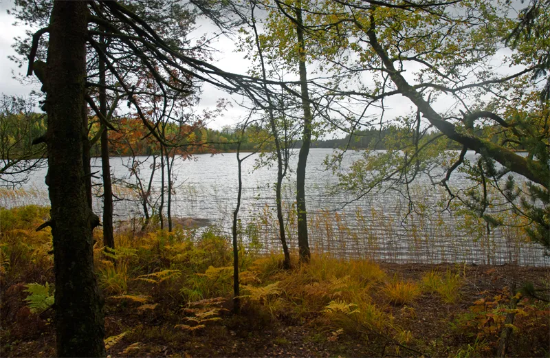 Klicka för att förstora