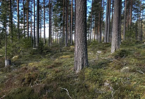 Ut och njut i helgen!