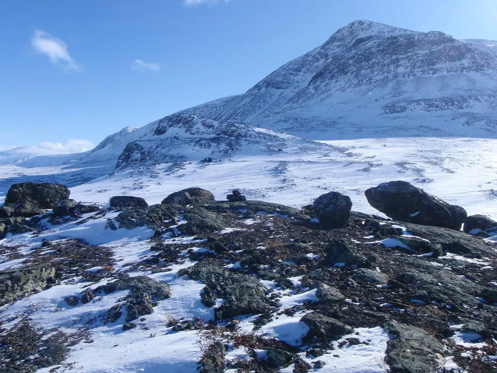 Klicka för att förstora