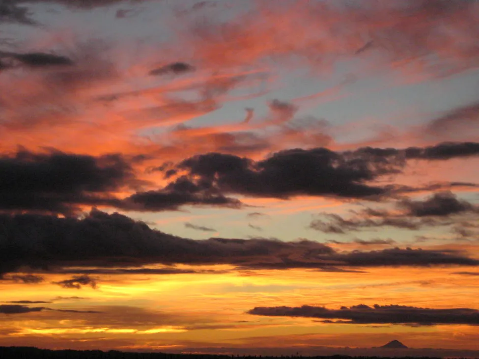 Klicka för att förstora