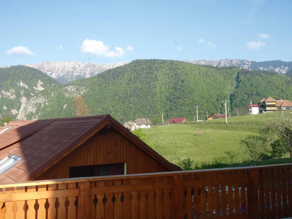 Klicka för att förstora