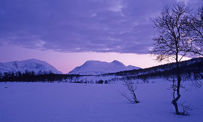 Klicka för att förstora