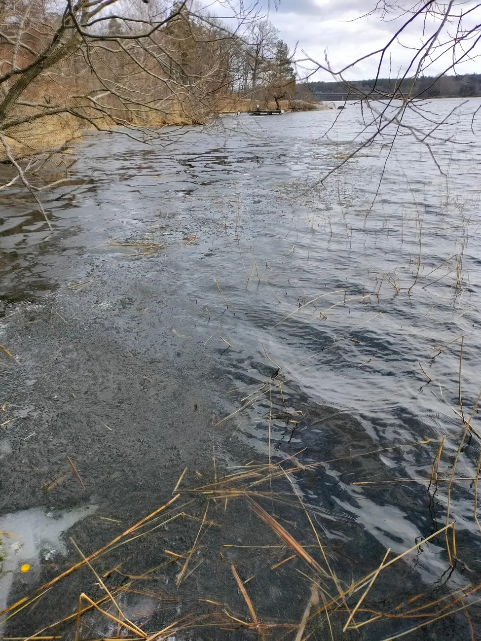 Klicka för att förstora