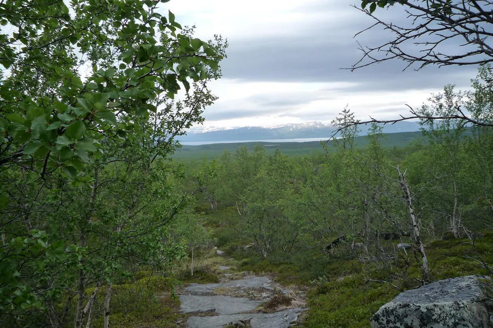 Klicka för att förstora