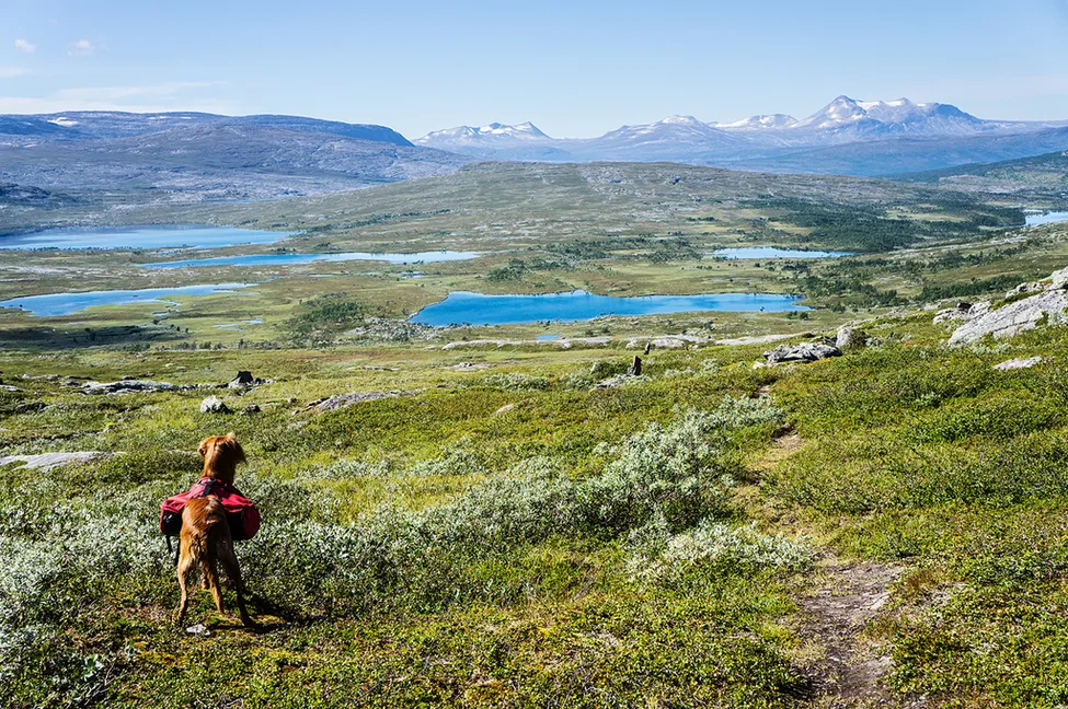 Klicka för att förstora