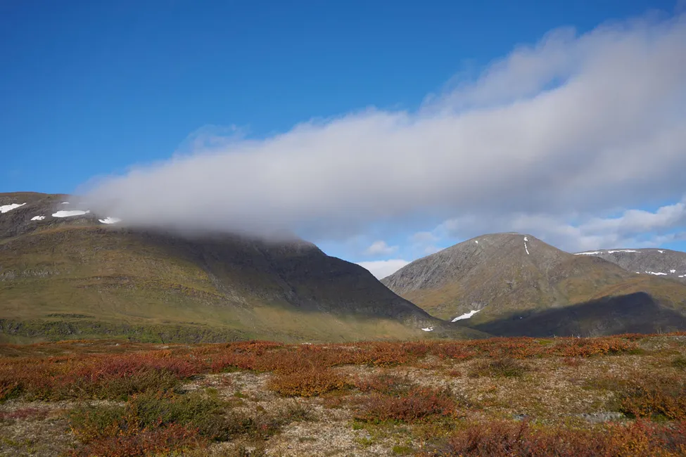 Klicka för att förstora