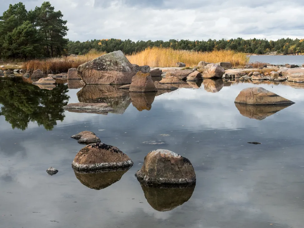 Klicka för att förstora