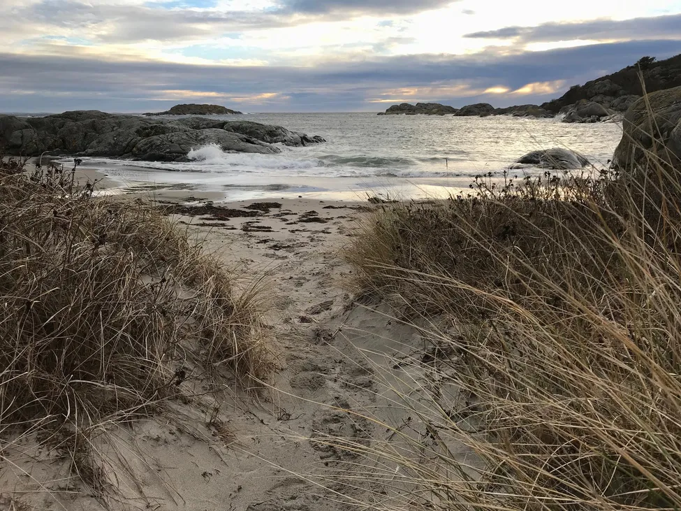 Klicka för att förstora