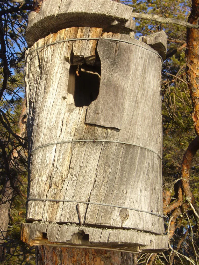 Klicka för att förstora