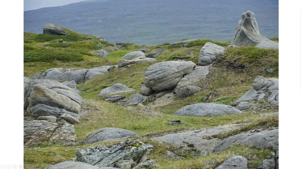 Klicka för att förstora