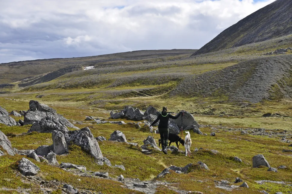 Klicka för att förstora